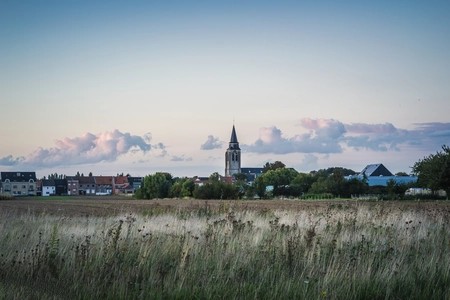 Zicht op Steenokkerzeel met de kerktoren boven het omliggende groen.