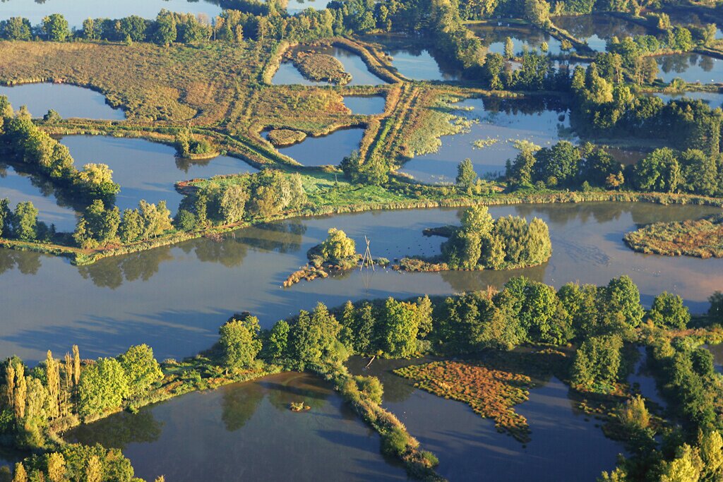 Beeld bij De Wijers: stakeholderparticipatie voor de kandidatuur als Unesco Biosfeergebied